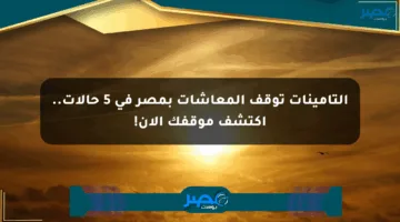 التأمينات توقف المعاشات بمصر في 5 حالات.. اكتشف موقفك الآن!